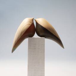 Duo Love Birds - 206 - thumbnail 4