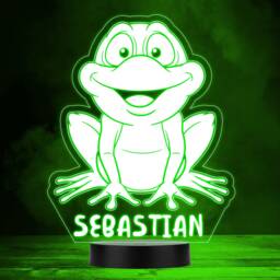Happy Smiling Frog Colour Changing Led Lamp Personalised Gift Night Light - Bedroom