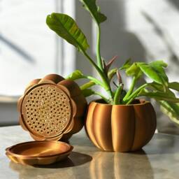 Bronze Pumpkin Planter Stylish Autumn Decor, Succulent Pot