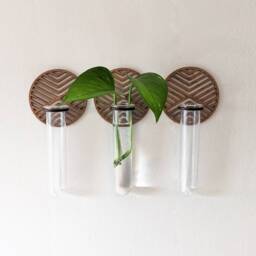 Wall Hanging Graphic Circle Propagation Vase - thumbnail 3