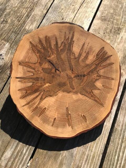 Live Edge Cutting - Charcuterie Board, Presentation Board, Clock Face, Wall Hanging - image 1