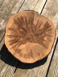 Live Edge Cutting - Charcuterie Board, Presentation Board, Clock Face, Wall Hanging - thumbnail 1