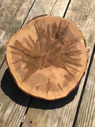 Live Edge Cutting - Charcuterie Board, Presentation Board, Clock Face, Wall Hanging - thumbnail 2