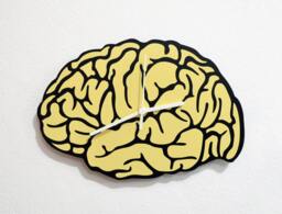 Human Brain - Wall Clock - thumbnail 1