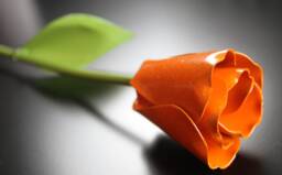Metal Tulip, Orange Wedding Flower, Industrial, 11Th Anniversary, 6Th 4Th Mothers Day