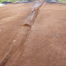 Extra Large Cowhide Cowhide Rug. Unique Peau De Vache. Cow Skin - thumbnail 3