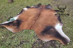 Extra Large Cowhide Cowhide Rug. Unique Peau De Vache. Cow Skin - thumbnail 1