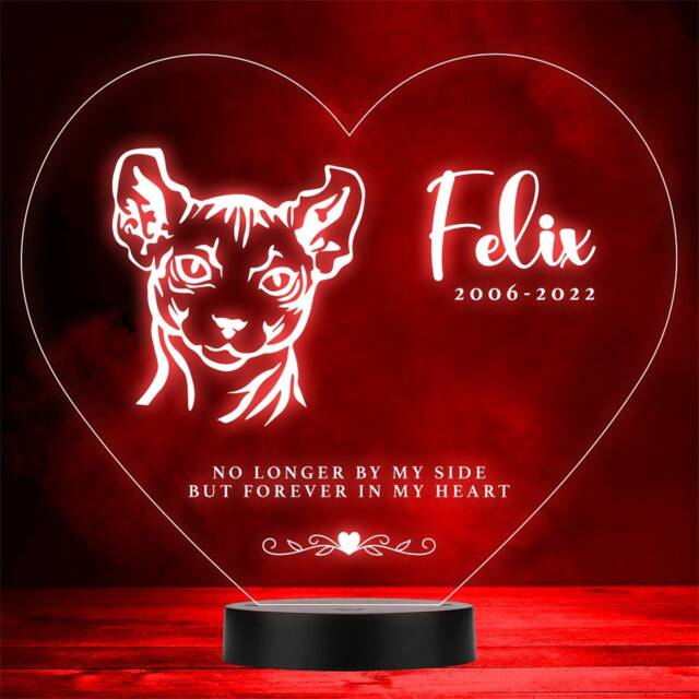 Cat Pet Loss Memorial Forever in My Sphynx Personalised Gift Colour Night Light - image 1