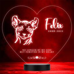 Cat Pet Loss Memorial Forever in My Sphynx Personalised Gift Colour Night Light - thumbnail 1