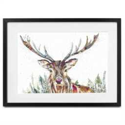 Nature Stag Framed Art Print
