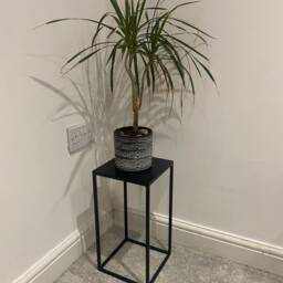 Plant Stand Table/Small Table/End Table/Coffee Table - thumbnail 3