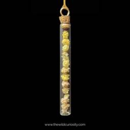 Oddity Ornament - Gypsophila Dried Flowers in Glass Jar Christmas Curio Hanging Decor - thumbnail 3