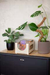 Handmade Baltic Birch 7-Inch Vinyl Record Storage Box - thumbnail 1