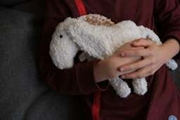 "Mountain Sheep ""Millie" - thumbnail 1