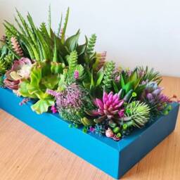 Vibrant Faux Succulent Planter Pink Teal Blue Wooden Table Centerpiece - thumbnail 4
