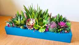 Vibrant Faux Succulent Planter Pink Teal Blue Wooden Table Centerpiece