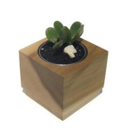 Handmade Poplar Cube Succulent Planter With Stainless Steel Insert - thumbnail 3