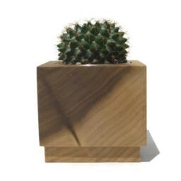 Handmade Poplar Cube Succulent Planter With Stainless Steel Insert - thumbnail 2