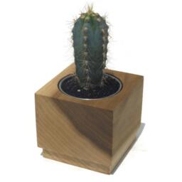 Handmade Poplar Cube Succulent Planter With Stainless Steel Insert - thumbnail 4