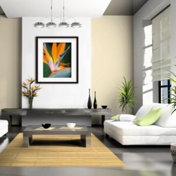 Printable Wall Art Bird Of Paradise Print #bop01, Decor, Photo Closeup - thumbnail 3