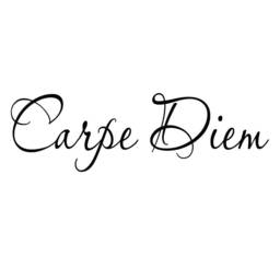 Vwaq Carpe Diem Vinyl Wall Decal Inspirational Quote Seize The Day Art Saying - thumbnail 2