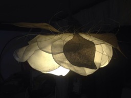 Ceiling Light-Plater White Flower in Easy Cleaning Paper - thumbnail 1