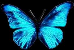 3D Lilac Wedding Butterflies Exotic Table Decorations, Diy Wall Art - thumbnail 4