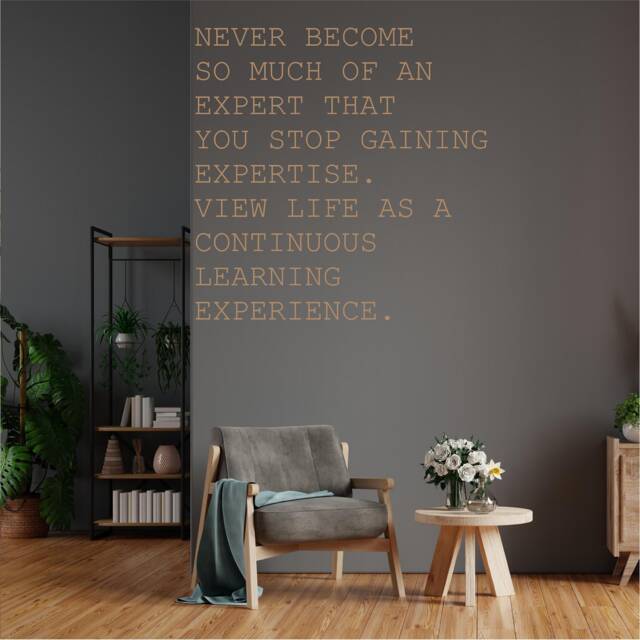 View Life As A Continues Learning Experience, Motivational, Office, School, Home Wall Art, Sticker, Decal, Transfer, 5 Size's 36 Colours - image 1
