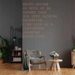 View Life As A Continues Learning Experience, Motivational, Office, School, Home Wall Art, Sticker, Decal, Transfer, 5 Size's 36 Colours