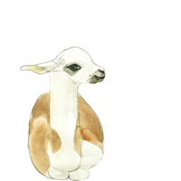 Llama Poster/Animal Lamas Nursery Watercolor Handmade Made in Quebec Minimalist Style Cynthia Paquette - thumbnail 2