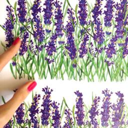 Lavender Wall Decals Border 2-Set, Decor, Hand-Painted For Tiles, Walls & Furniture, Sticker - thumbnail 2