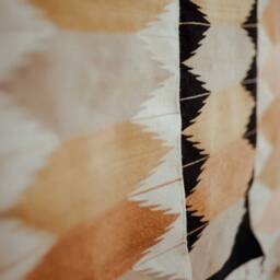 Zapotec Rug Handwoven Mexican Rug, Wool Woven Accent Area Living Room Oaxaca Bedroom - thumbnail 4