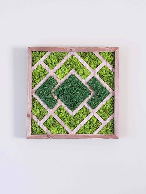 "Geometric Moss Wall Art 16""x16" - image 1
