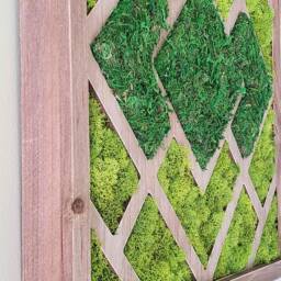 "Geometric Moss Wall Art 16""x16" - thumbnail 3