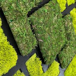 "Geometric Moss Wall Art 16""x16" - thumbnail 4