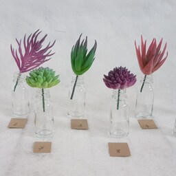 Faux Succulent Stem in Glass Bottle, Artificial Plant Arrangement - thumbnail 4