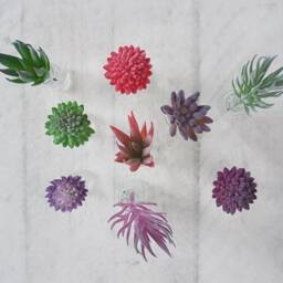 Faux Succulent Stem in Glass Bottle, Artificial Plant Arrangement - thumbnail 2
