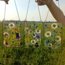 Set Of 3 Pressed Flower Art Stained Glass Frame Suncatcher - thumbnail 2