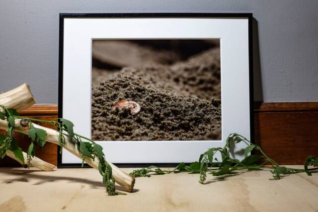 Beach Photograph, Nature Photography, Wall Art, Bedroom Decor, Living Room Peaceful Photography Prints - image 1