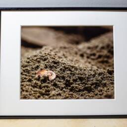 Beach Photograph, Nature Photography, Wall Art, Bedroom Decor, Living Room Peaceful Photography Prints - thumbnail 2
