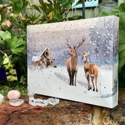 Crystal Christmas Advent Calendar - Natural Xmas Gemstone Count Down Festive Mystery Box Calendars - thumbnail 2