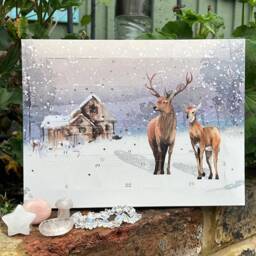 Crystal Christmas Advent Calendar - Natural Xmas Gemstone Count Down Festive Mystery Box Calendars - thumbnail 3