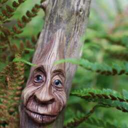 Ooak Wood Carved Face Dryad - thumbnail 3