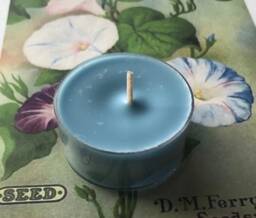 Morning Glory & Honeysuckle Scented Soy Candle Tealights Rustic Farmhouse Home Decor - thumbnail 1