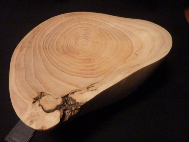 Sculpture Ash Cup - image 1