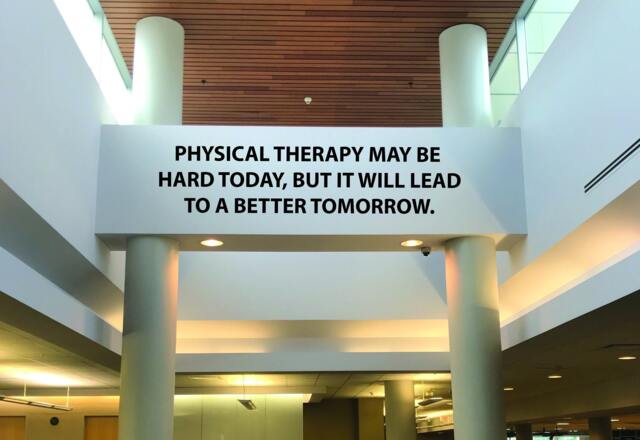 Physical Therapy Quote, Wall Art, May Be Hard Today, But It Will Lead To A Better Tomorrow Decal 135 - image 1