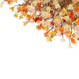 Flush Mount Elegant Ceiling Light With Warm Color Flowers For Kitchen, Living Room Or Dining Room - thumbnail 4