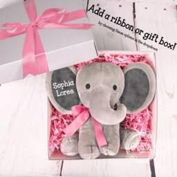 Rainbow Baby Announcement, Boy Or Girl Gift, For This Child We Have Prayed, Miracle Baby, Elephant - thumbnail 2