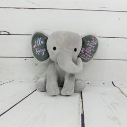 Rainbow Baby Announcement, Boy Or Girl Gift, For This Child We Have Prayed, Miracle Baby, Elephant - thumbnail 1