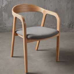 Dining Chair, Wood Accent For Room, Patio, Terrace, Bedroom & Lounge, Mid Century - thumbnail 1
